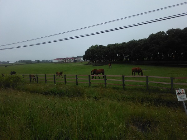 �V���T���u���b�h���