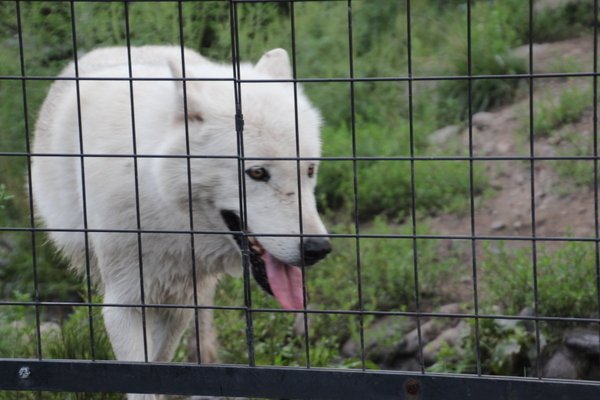 ���R������