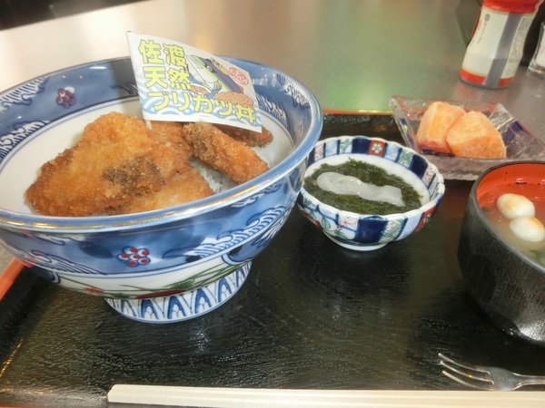 ���؉Ɓi������j