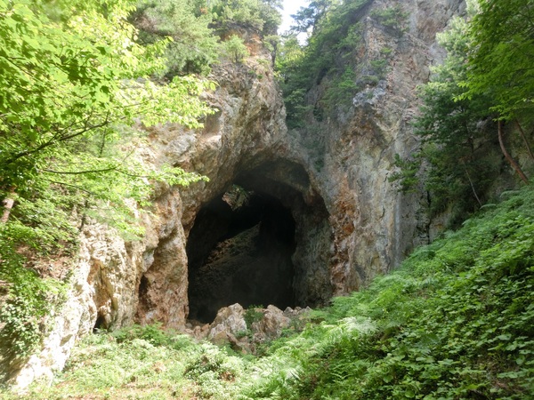 �j�Ս��n���R