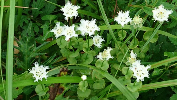 �^�f������