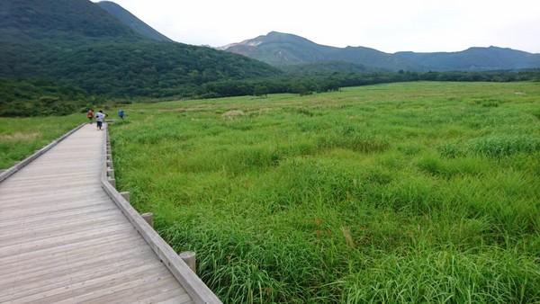 �^�f������