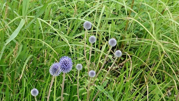 �^�f������