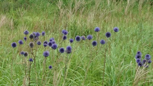 �^�f������