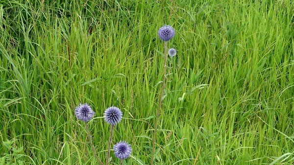 �^�f������