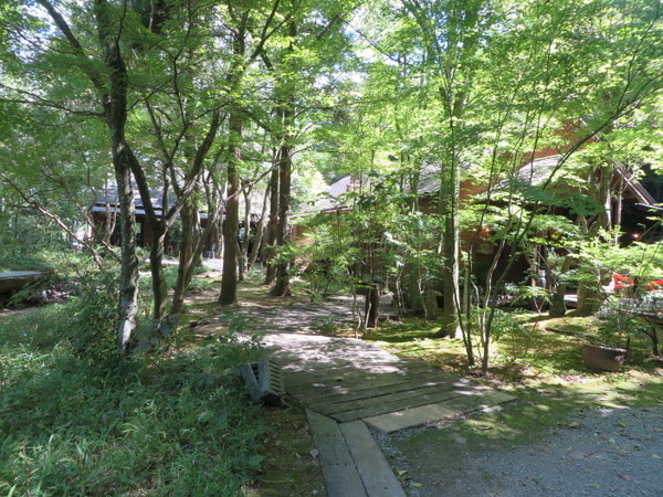 �H�[ ��y��