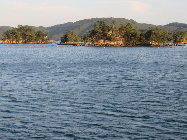 ��\�㓇�V���D�p�[���N�B�[���u�T���Z�b�g�N���[�Y�v