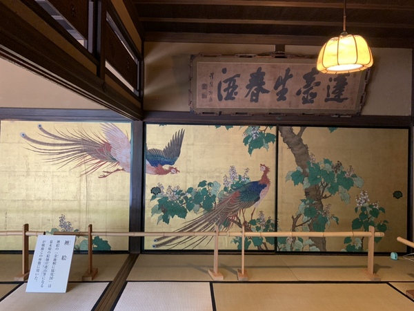 �p�����ĂȂ��̕������p��