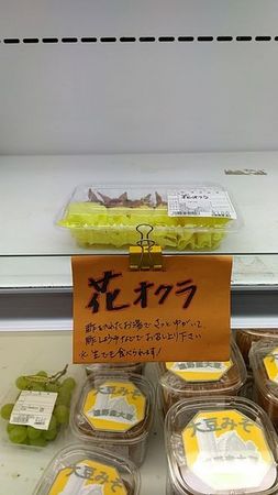 ���̉w�@���앗�̋u