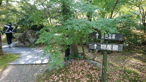 ���F����