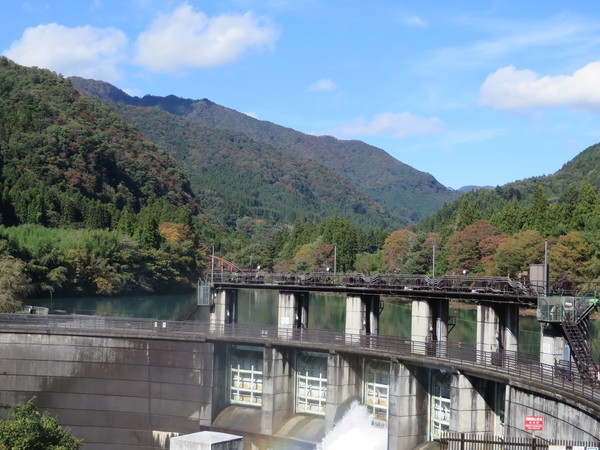 ���V���_��