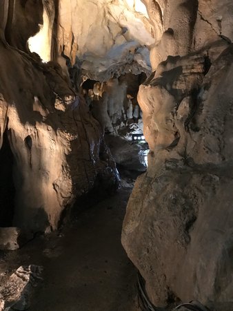 �S�㔪�� ���R�ߓ���