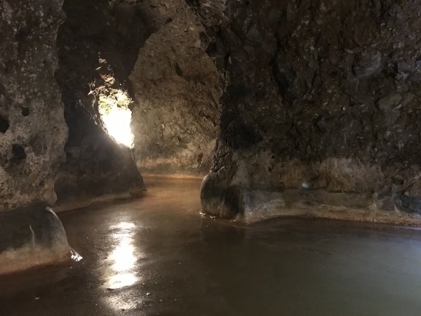 �哴�A�̏h�@���y��