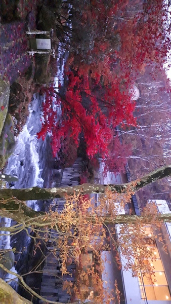 ���ȃO�����h�z�e����̓�