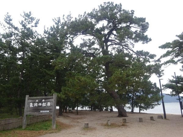 �C��̏���