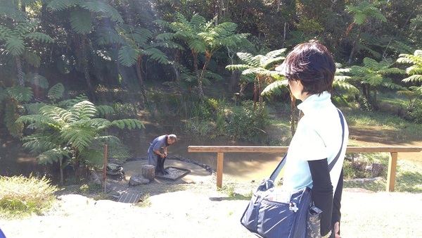 �����哇�ۑ�