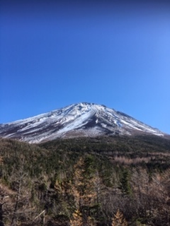 �x�m�X�o�����C��