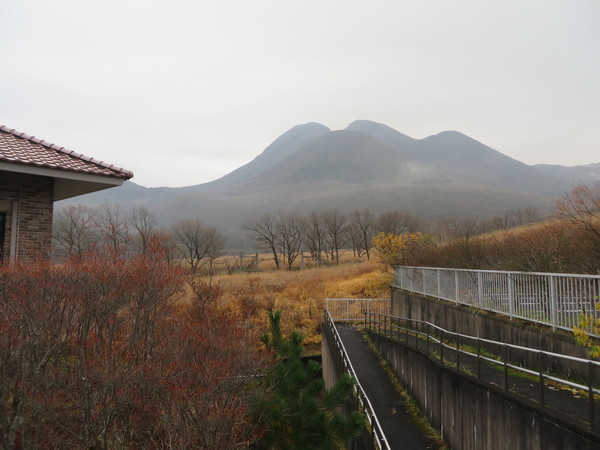 �^�f������