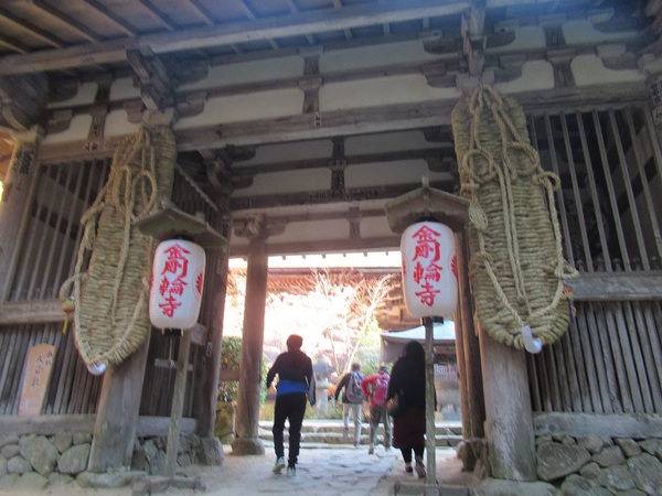 �����֎��@��V��