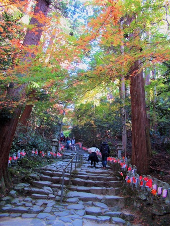 �����֎��@��̒n��