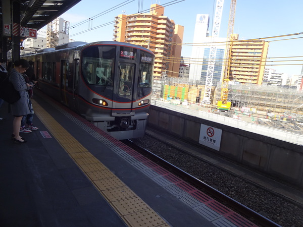 �i�q�V���{�w