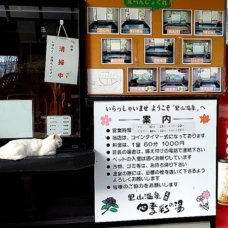 ���R����@�l�G�ʂ̓�