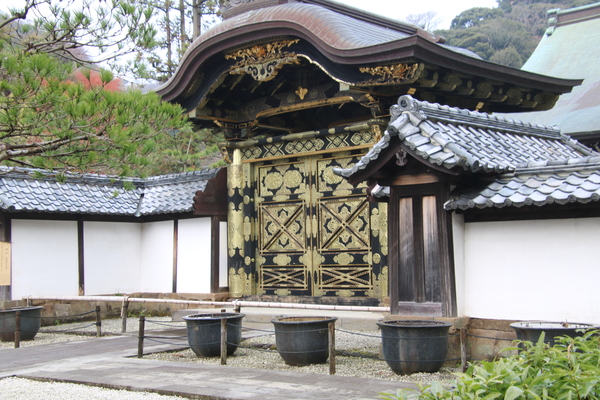 ����(�������j