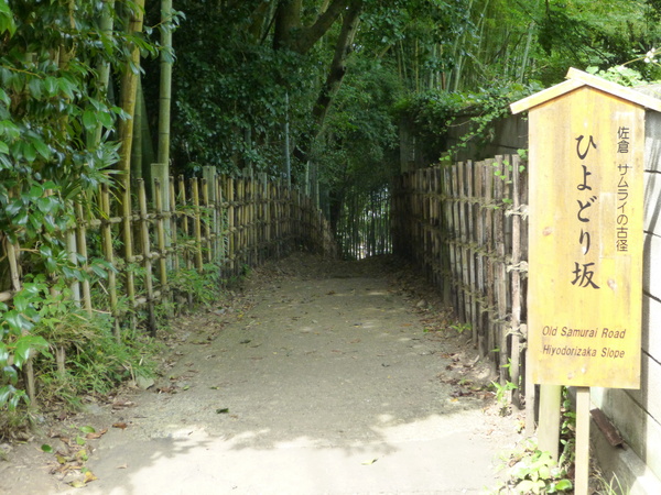 �T�����C�̌Ìa�i���݂��j�Ђ�ǂ��