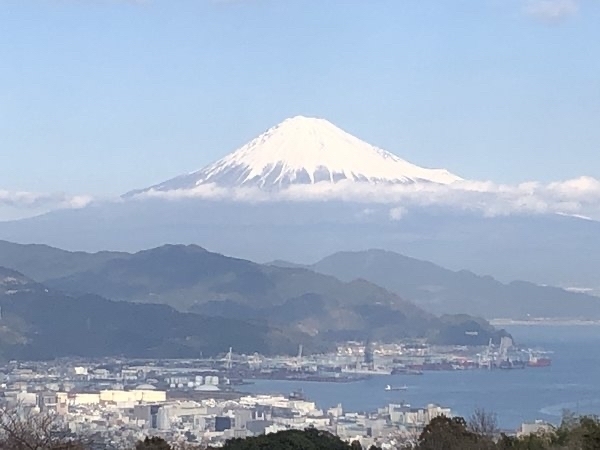 ���{�����e���X