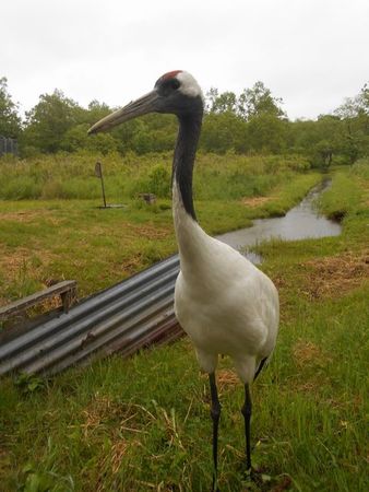 �O���ߎ��R����