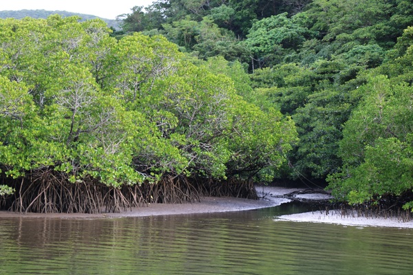 ���Ԑ�V��