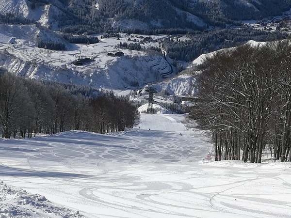 �Z�������C�R�X�L�[��