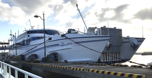 �F�{�t�F���[