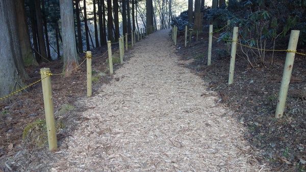 ���m���S�i�X��