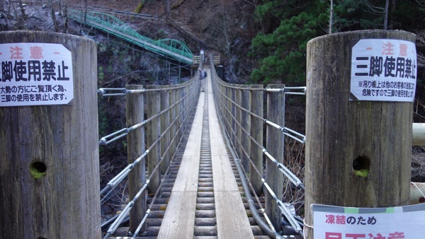 ���m���S�i�X��