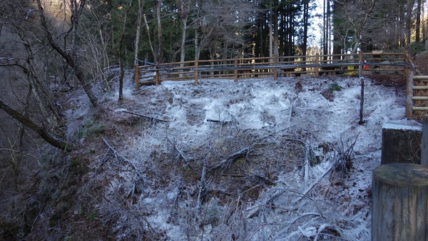 ���m���S�i�X��