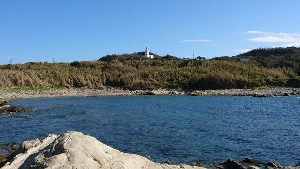 �����C�l�뉀