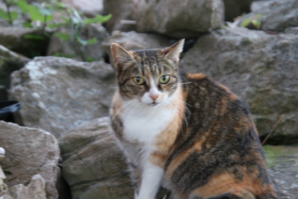 ���A�m���