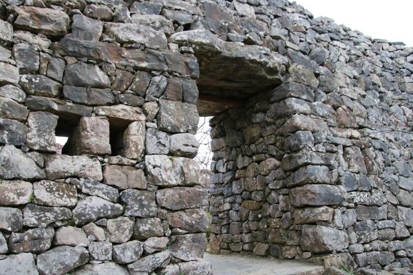 ���A�m���