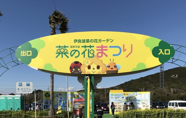 �ɗǌ΍؂̉ԃK�[�f��