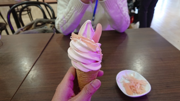 �≺�̐V���I�~���[�W�A��