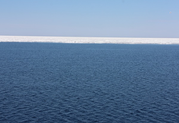 ���X�ӕX�D �K�����R���U