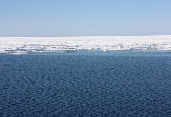 ���X�ӕX�D �K�����R���U