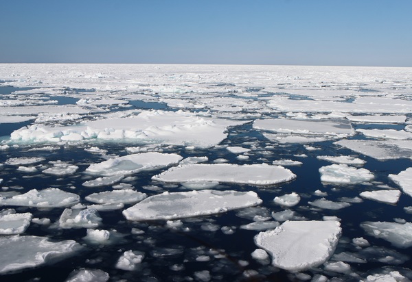 ���X�ӕX�D �K�����R���U