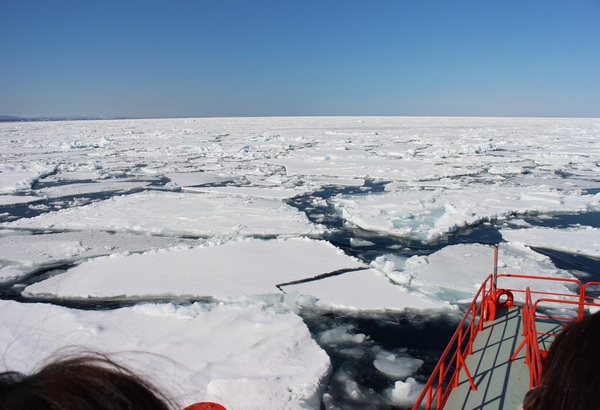 ���X�ӕX�D �K�����R���U