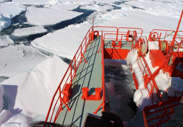 ���X�ӕX�D �K�����R���U