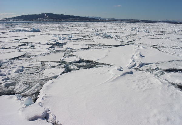 ���X�ӕX�D �K�����R���U