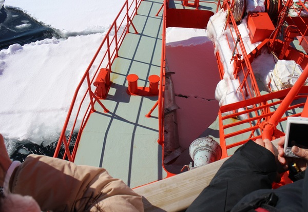 ���X�ӕX�D �K�����R���U