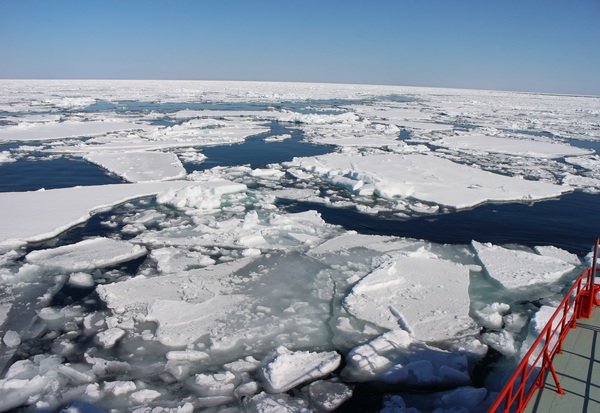 ���X�ӕX�D �K�����R���U