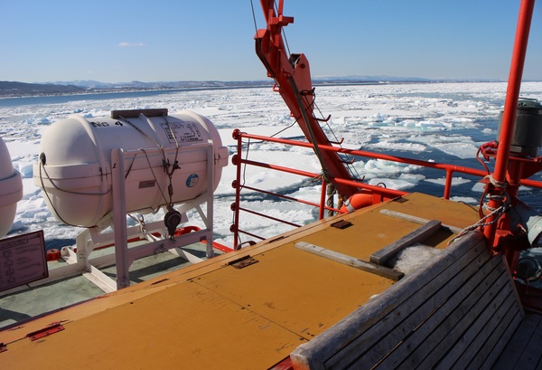 ���X�ӕX�D �K�����R���U